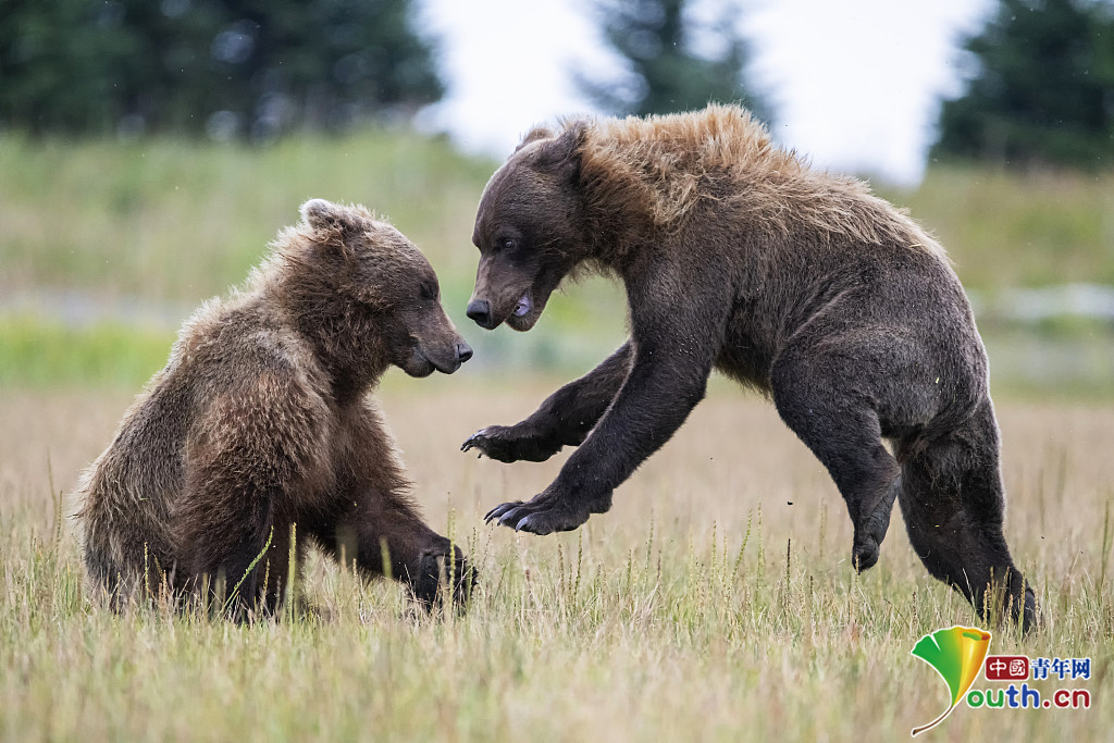 乐动体育-勒沃库森美因茨直播